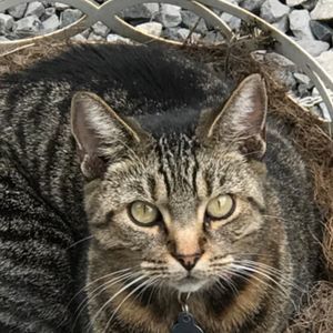 Meet your Posher, Denise